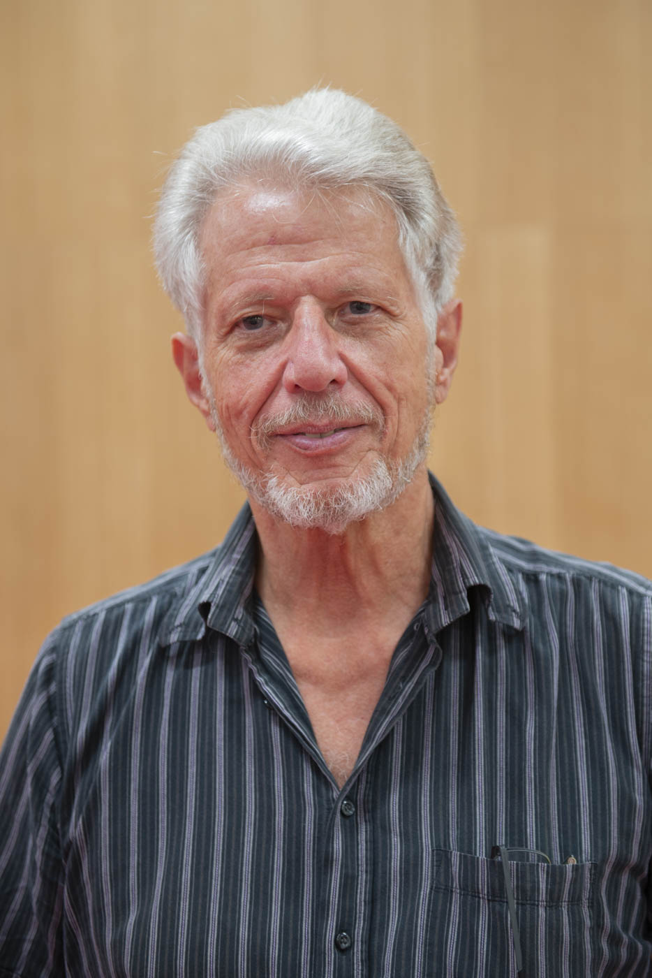 Raymond Marcelli